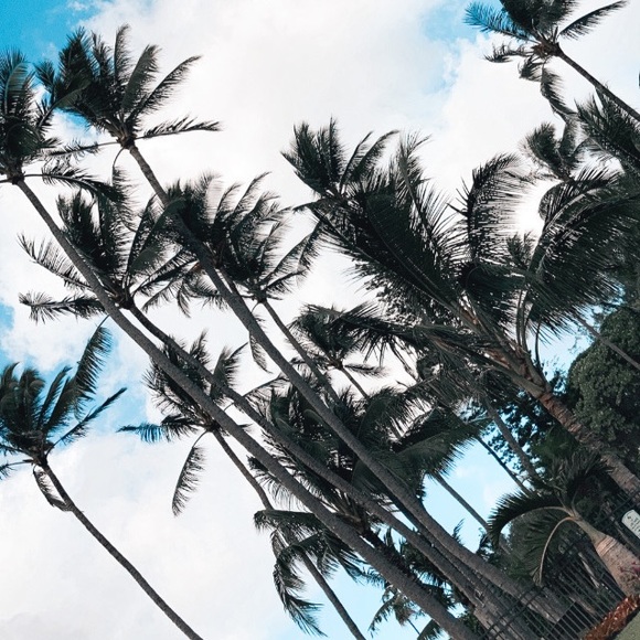 Meet your Posher, Cris - Picture 1 of 1